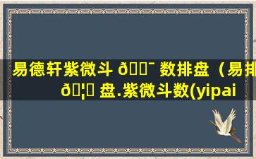 易德轩紫微斗 🐯 数排盘（易排 🦊 盘.紫微斗数(yipaipan)）